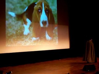 Anim'est cosplay magneto