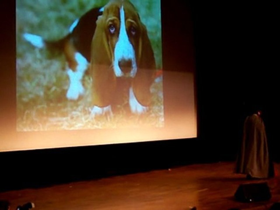 Anim'est cosplay magneto