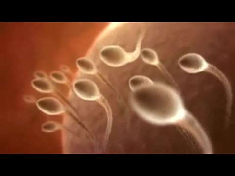 Pour avoir un bébé, cest facile