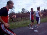 marathon du cognac 2010 ..3ème partie mario et son pet vélo