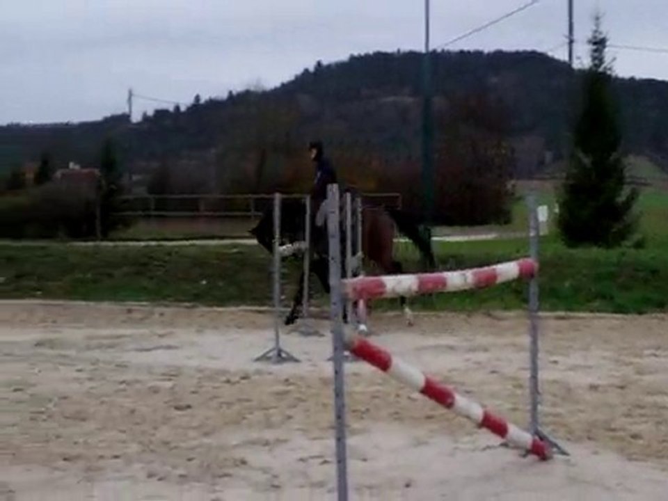 simbad des torfeux nov 2010 galop