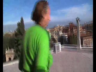 Pino secolare abbattuto per un box in via di Villa Albani