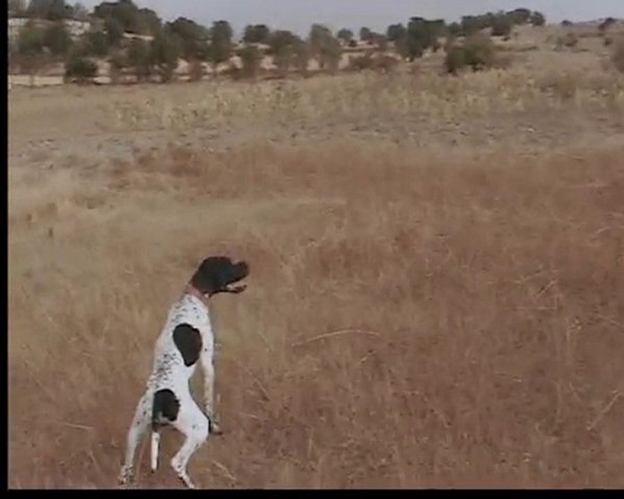 SMOV0005