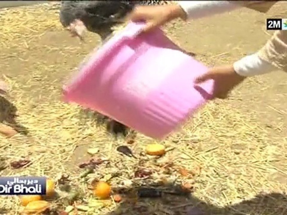 دير بحالي : الاثنين 15 نونبر