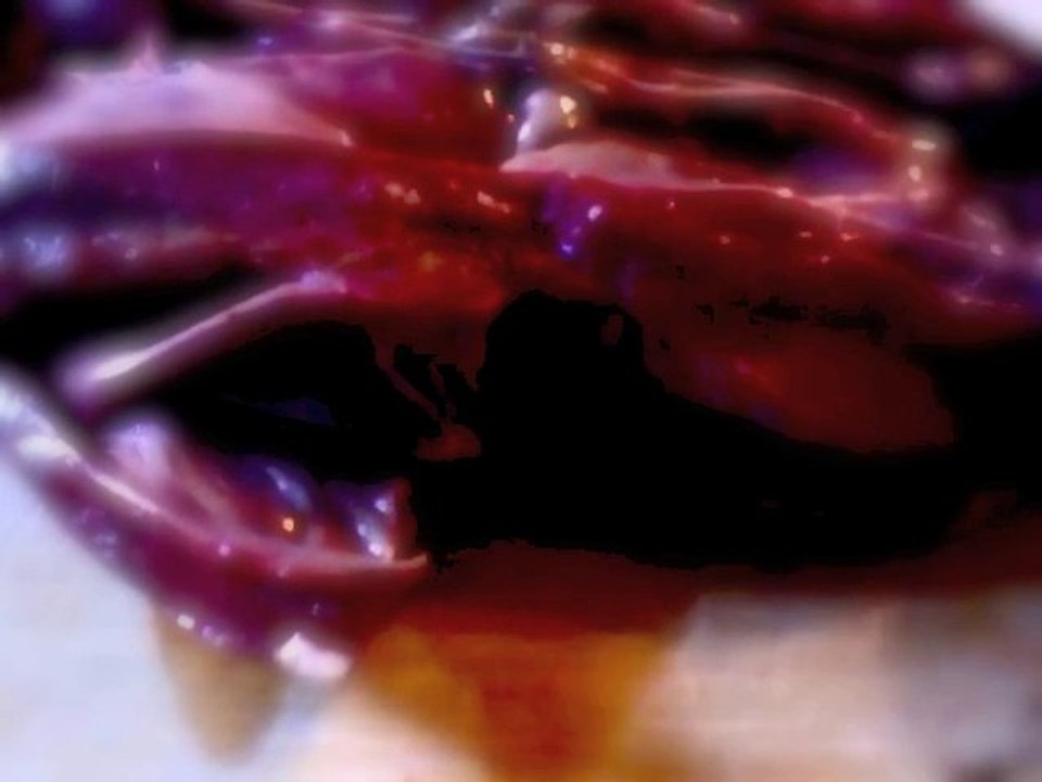 texticule #2
