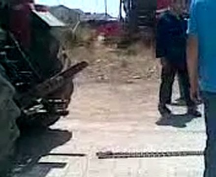 tümosan 70-80 & fıat 80-66