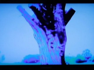 Apollo and Daphne by Carolina Costa