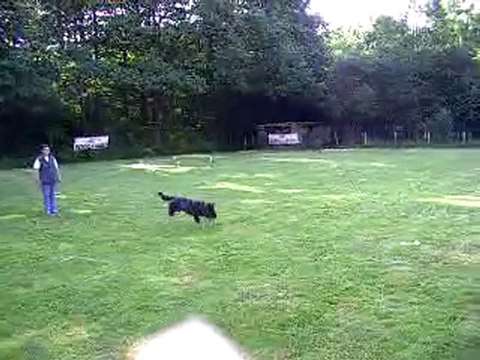 DIXIE des Côteaux du Lys