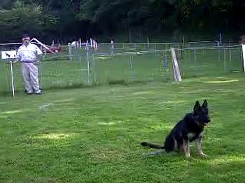 DIXIE des Côteaux du Lys