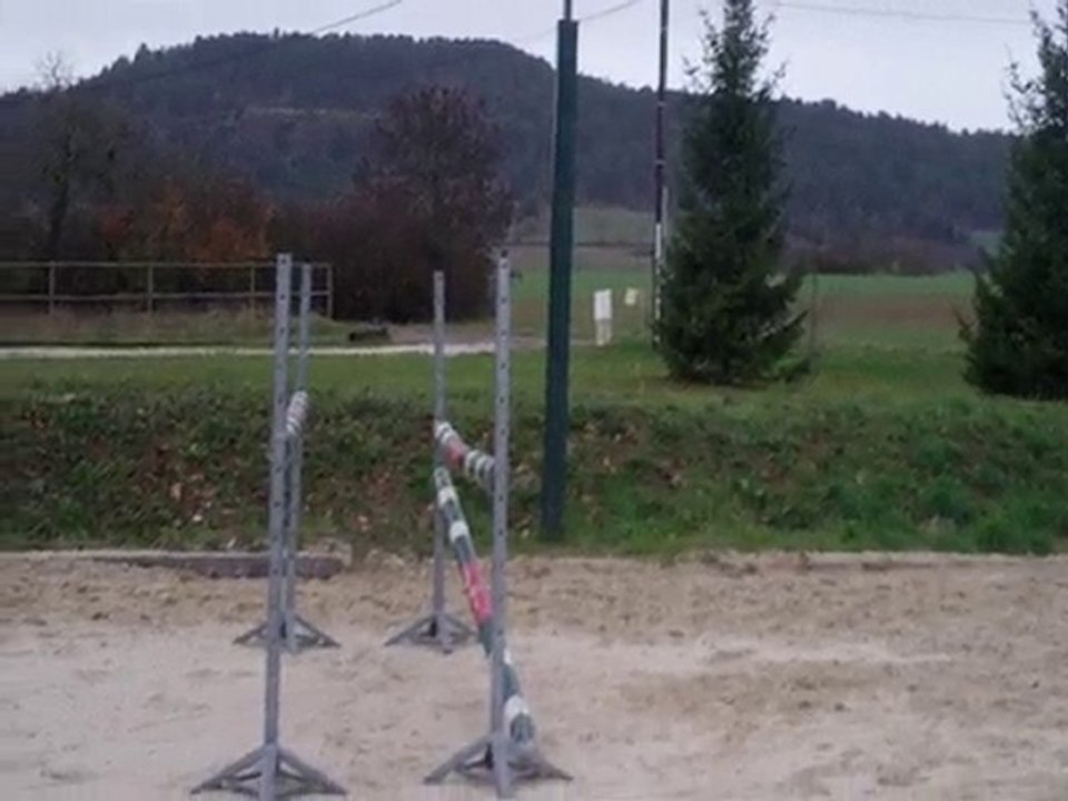 simbad des torfeux nov 2010 oxer