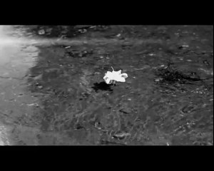 Soner Sarıkabadayı - Sadem (2010)