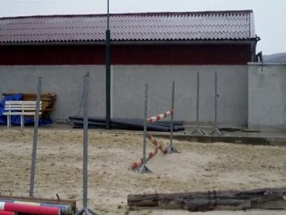 simbad des torfeux nov 2010 vertical