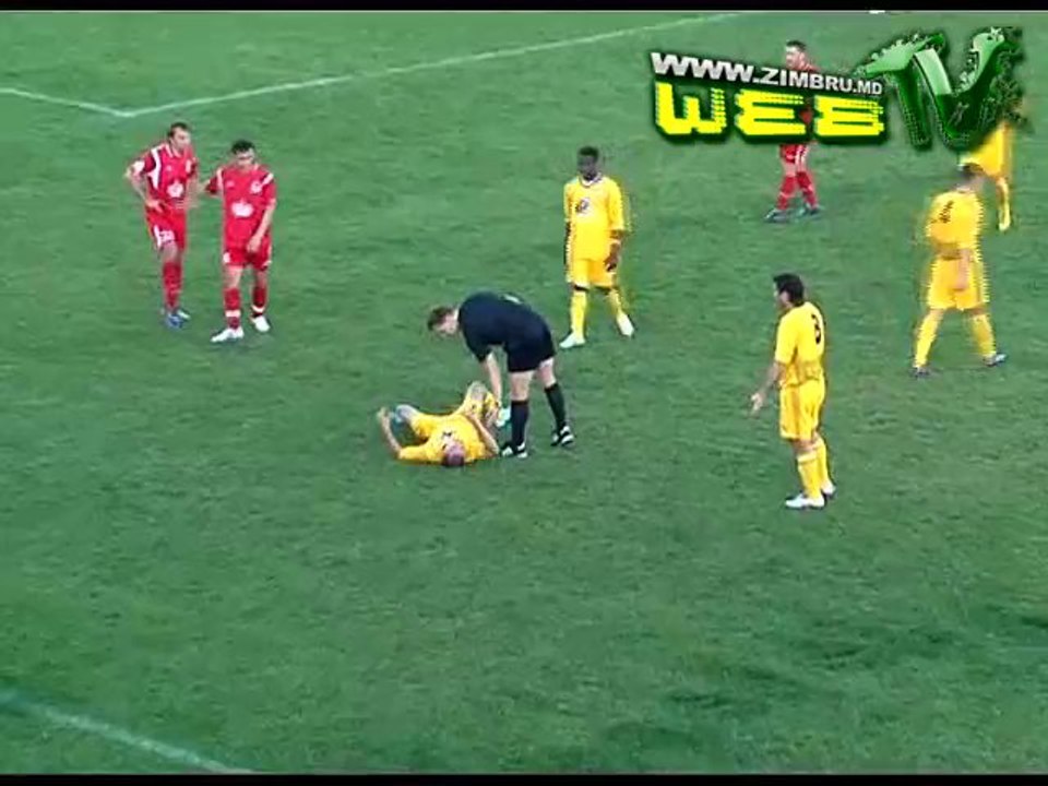 Milsami - Zimbru