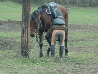 TREC villeneuve de marc 010