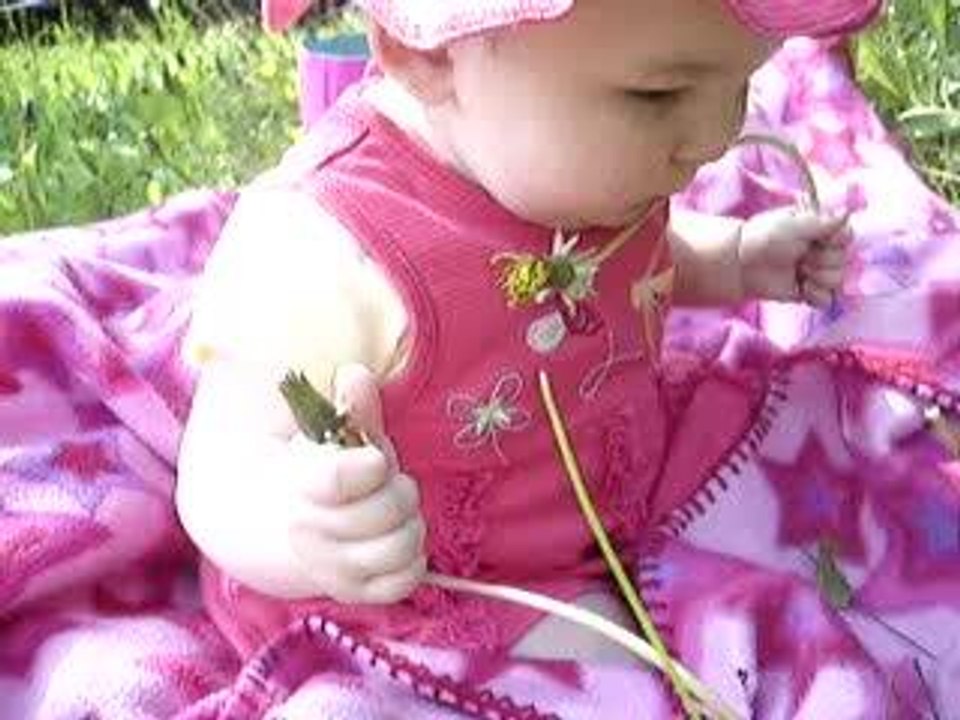 Herbe rose