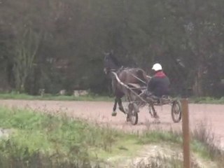 TRUE ADVENTURES EN PISTE