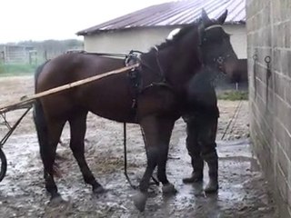 TRUE ADVENTURES SE PREPARANT A ALLER EN PISTE