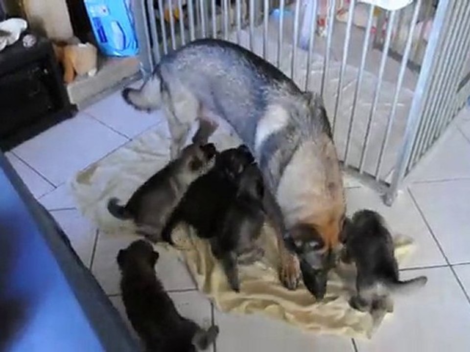 bb caïra 4 semaines