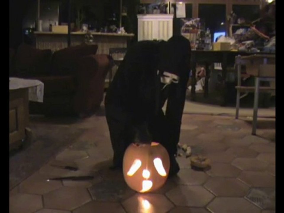 scream 4 part 4