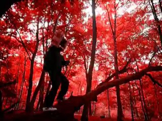 Gott gibt und Gott nimmt - den Faxemann