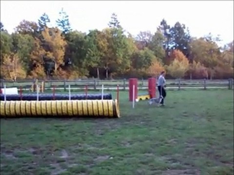 DOVE PARCOURS 10 NOV 2010