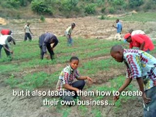 BDA Plant Action Program in DRCongo