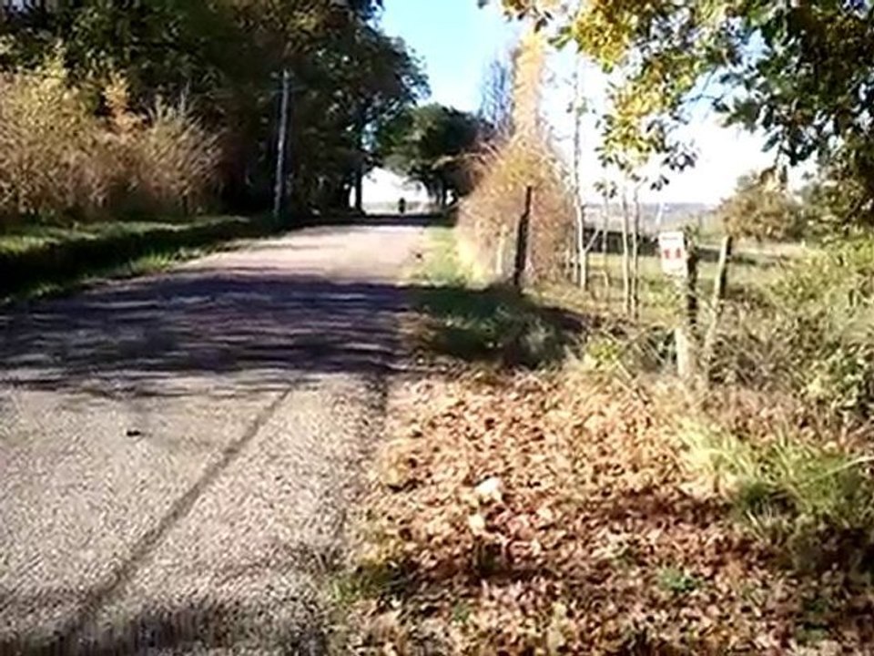 TZR TOP GREEN RUN VIDEO 2