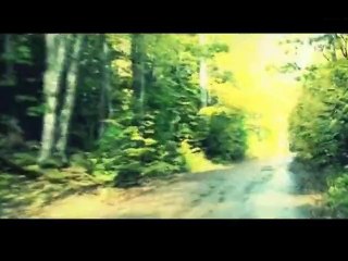 Colin McRae DiRT 3 : Dev Diary #1