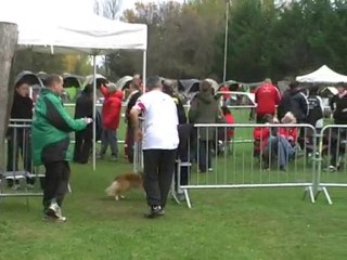 Mauguio-14-Novembre-2010