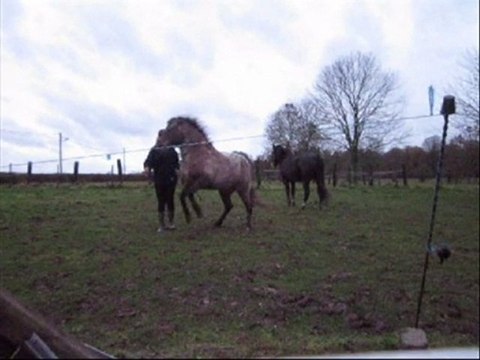 Les premiers 'cabrés' de Susu