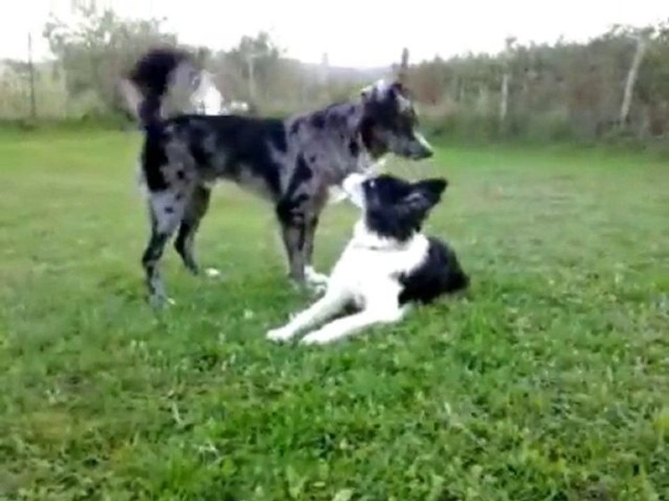 enee & rune