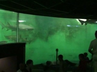 Aquarium de Saint Malo... Partie 4