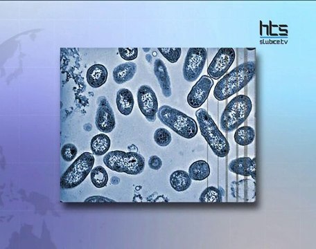 125 Emisja Poniedzialek 15.11.2010 cz 1 wstep