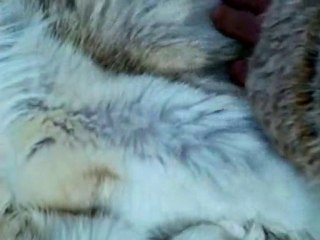 Monsters We Met 3Of 3 - The Eternal Frontier (1/5)