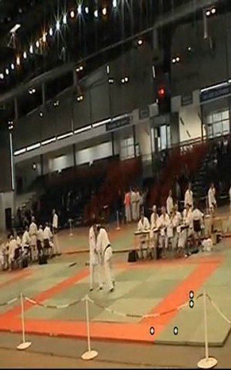 Nage-waza Ippon-seoi-nage