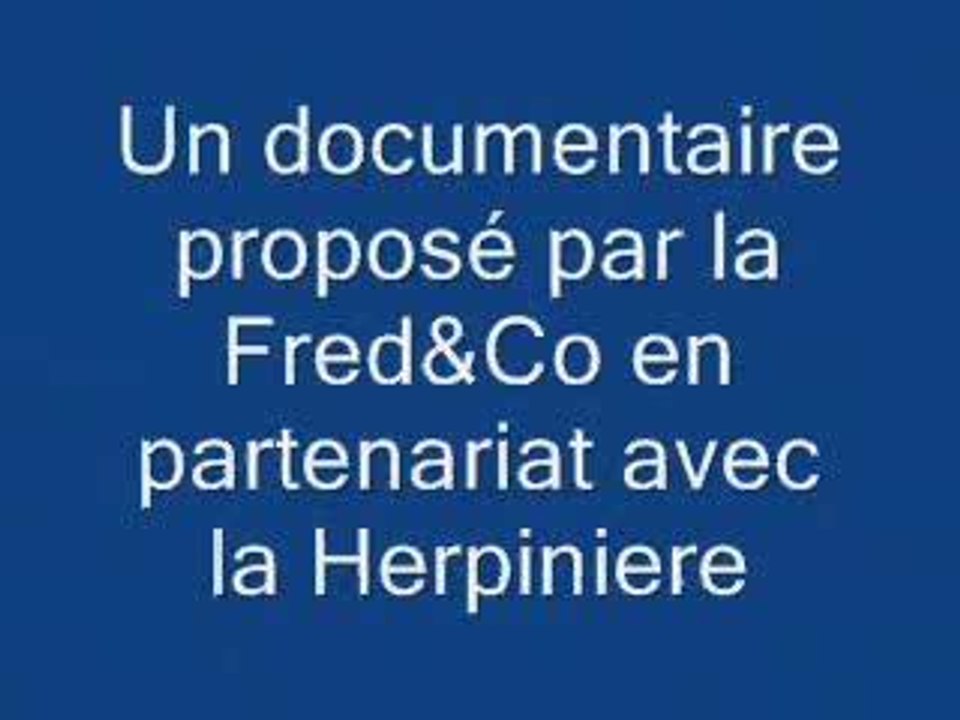 ça se dispute