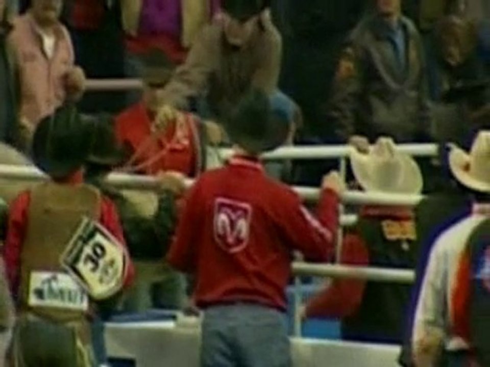 Bulls jump into crowds