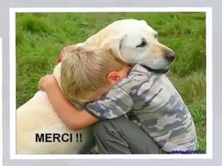 AIMONS LA ET PROTEGEONS LA MERE NATURE