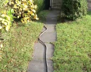 DSA Drainage Services - Plumbers in Edinburgh