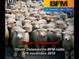 Olivier Delamarche BFM radio 16 novembre 2010 - 16/11/2010