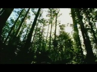 Le livre de vie de l'Agneau - 1 - La bonne nouvelle