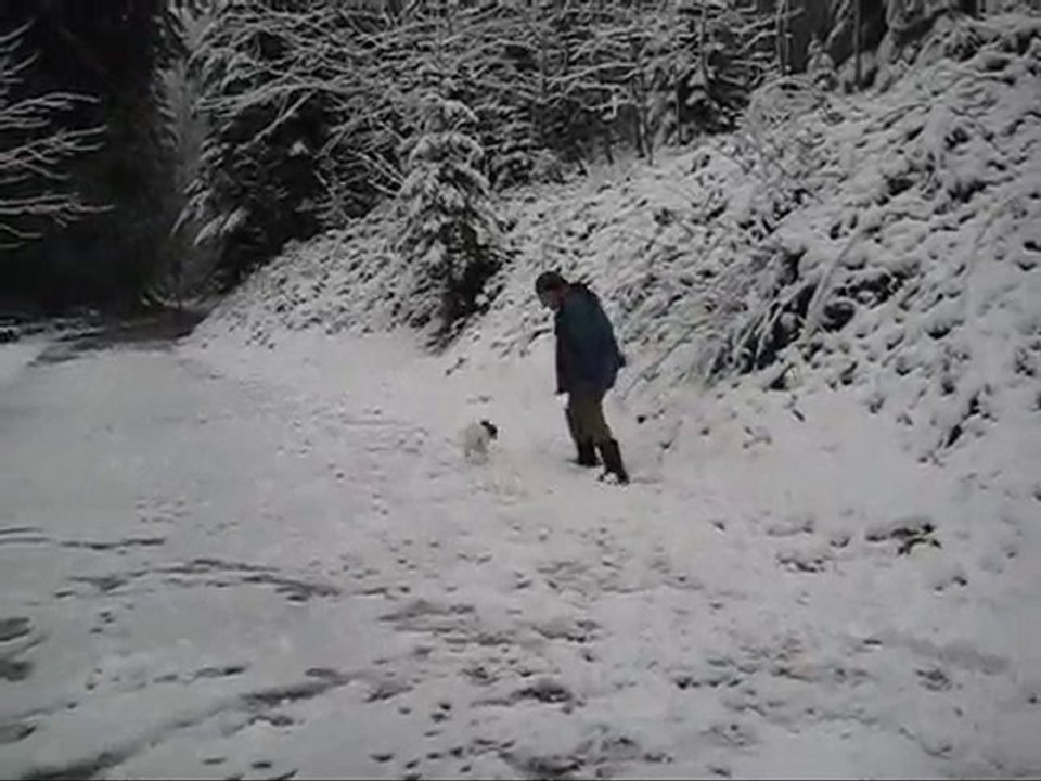 Donya 16.11.2010