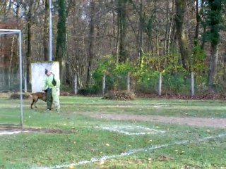 fuyante ESPION DAMPARIS