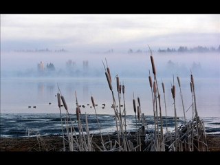 Silence (Xavier Requena/Cédric Tilèpe)