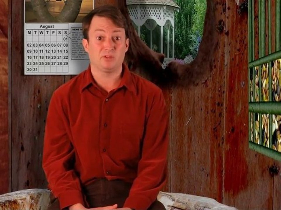 David Mitchell Signs Some Boobs...