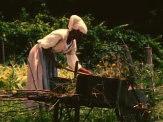 Slavery and the Making of America Part 1 of 3