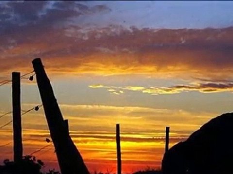 pour tant qu il y aura des hommes les ogres de barback