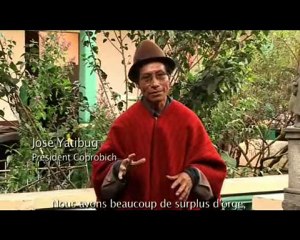 Le Quinoa équitable : les graines d'une dignité retrouvée