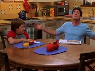 Two And A Half Men - HoppelhÃ¤hnchen