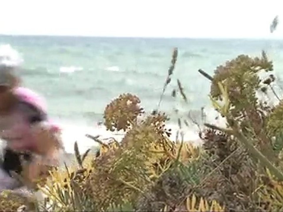 Roc d'Azur 2010 - Master Roc